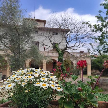 Can Rabassa Hostel Vallromanes Luaran gambar